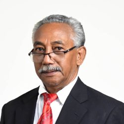 Ir. Jimmy Johanson Fransz, M.P.